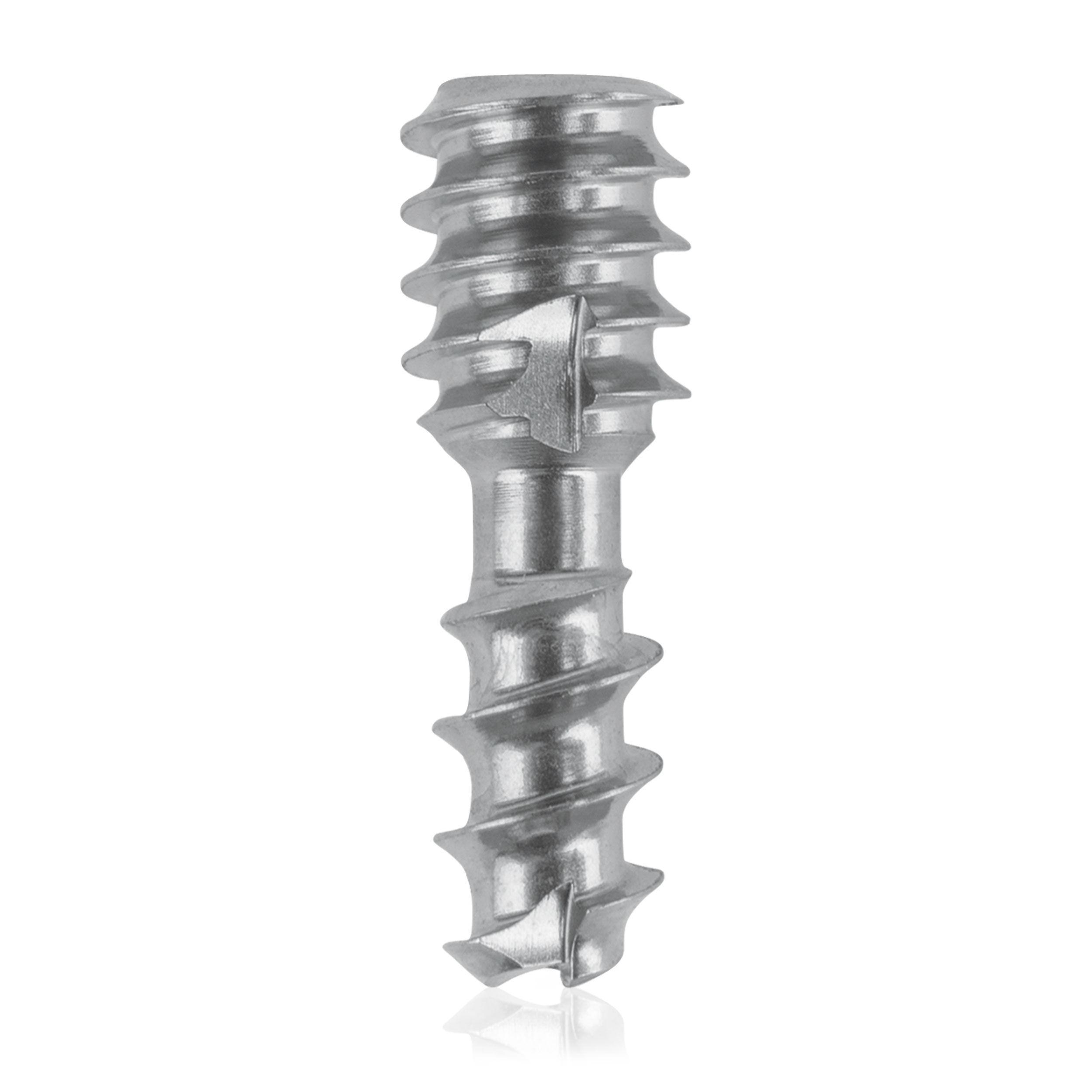 L = 12mm